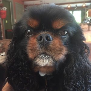 Meet your Posher, Judy